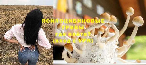 гашик Баксан