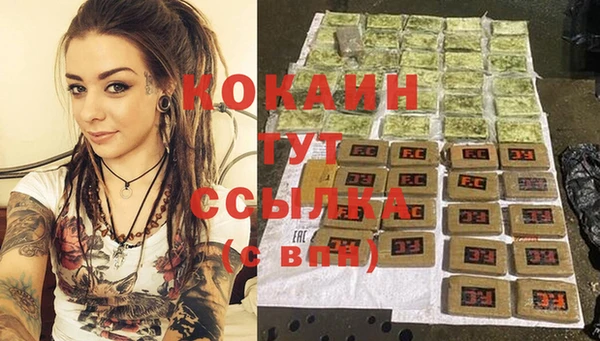 гашик Баксан